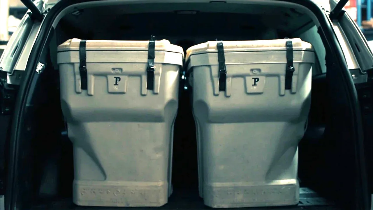 Two cases strapped in a vehicle cargo area, straps over the lids