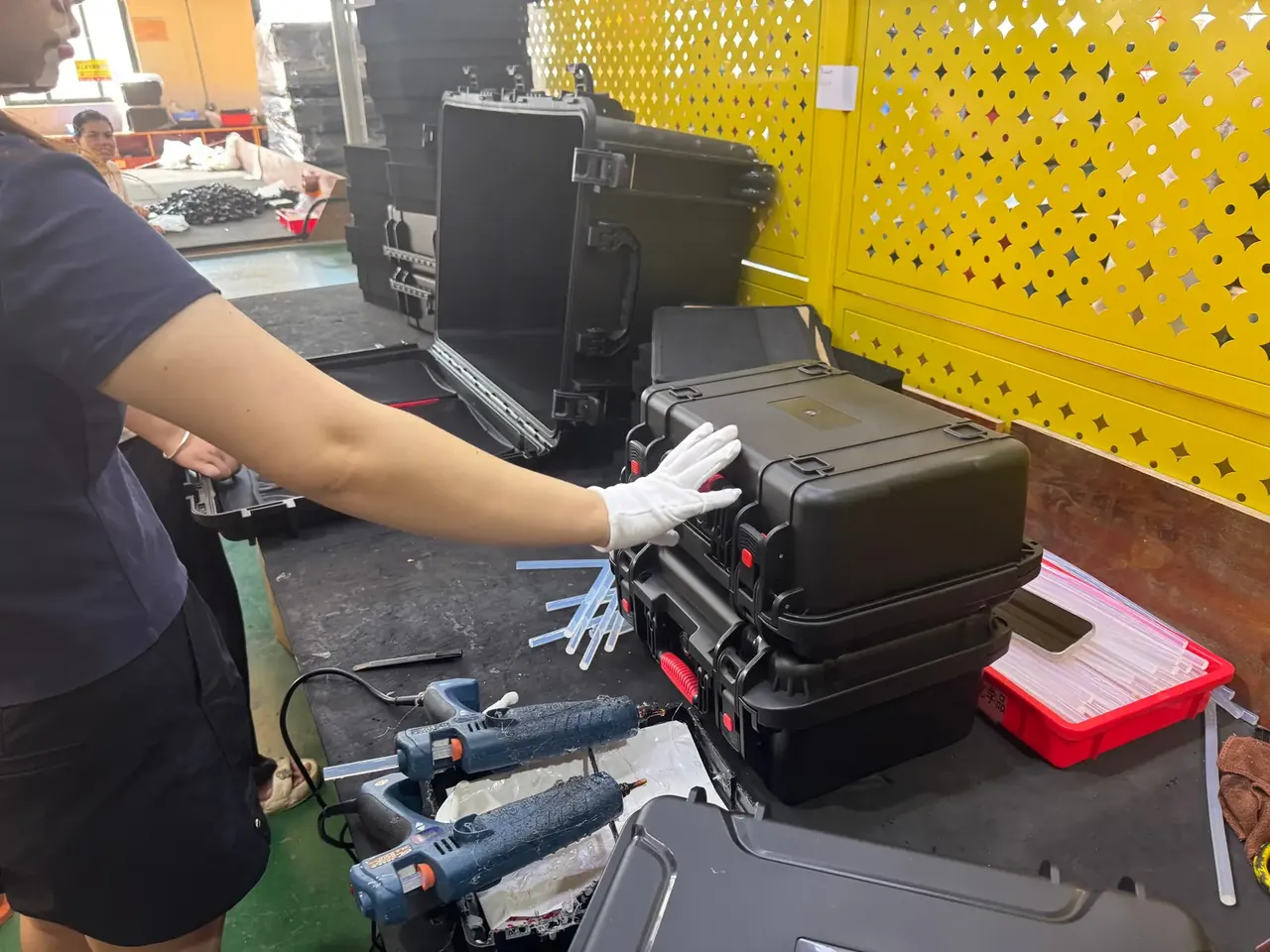 Case Mould Quotes: 6 Cost Lines and a 45-Day Schedule