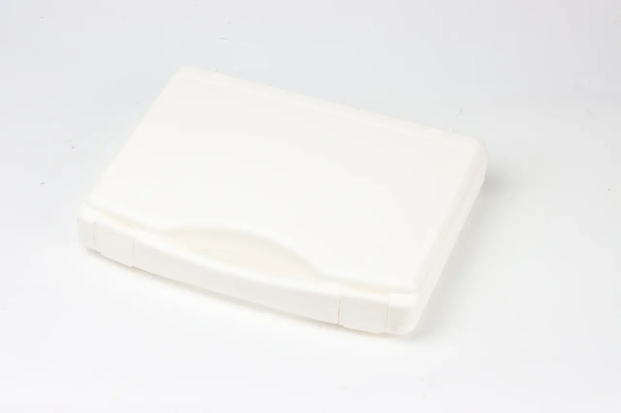 Ivory case seen from above at an angle, closed, handle recess at the front, hinge split into three segments along the base