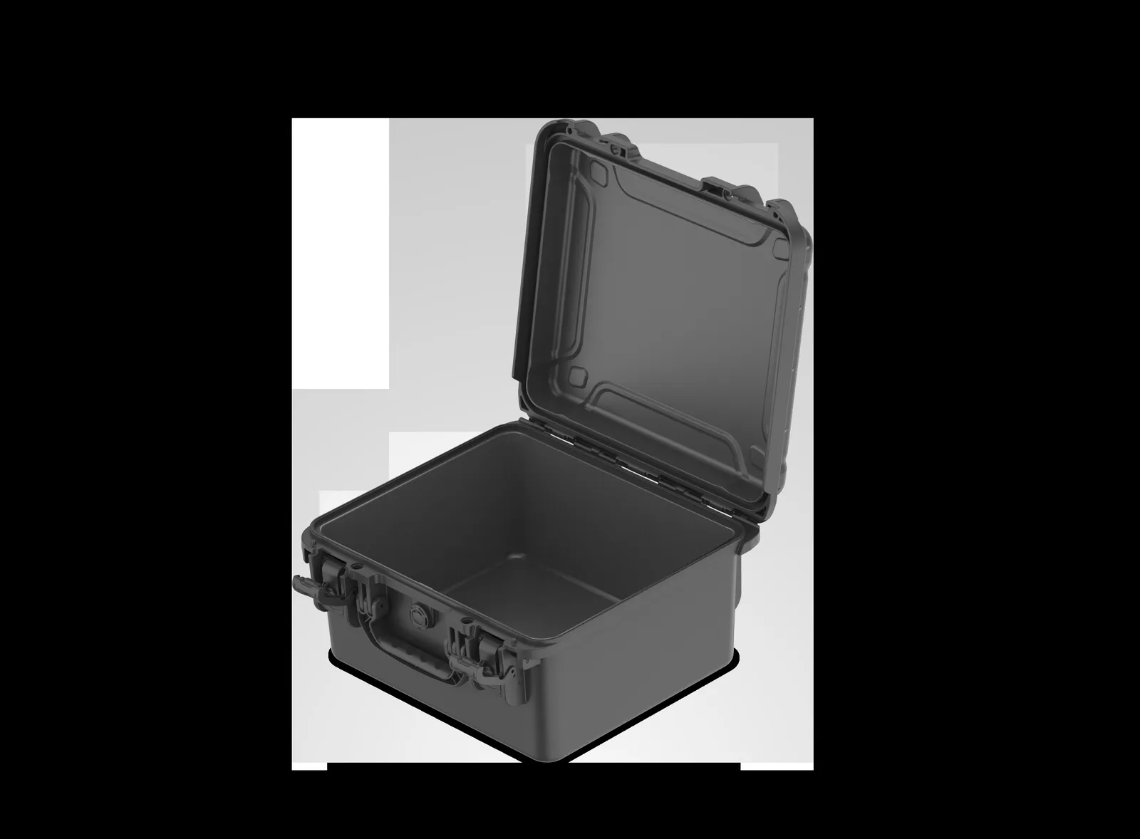 WL8-3821 PP Watch Case