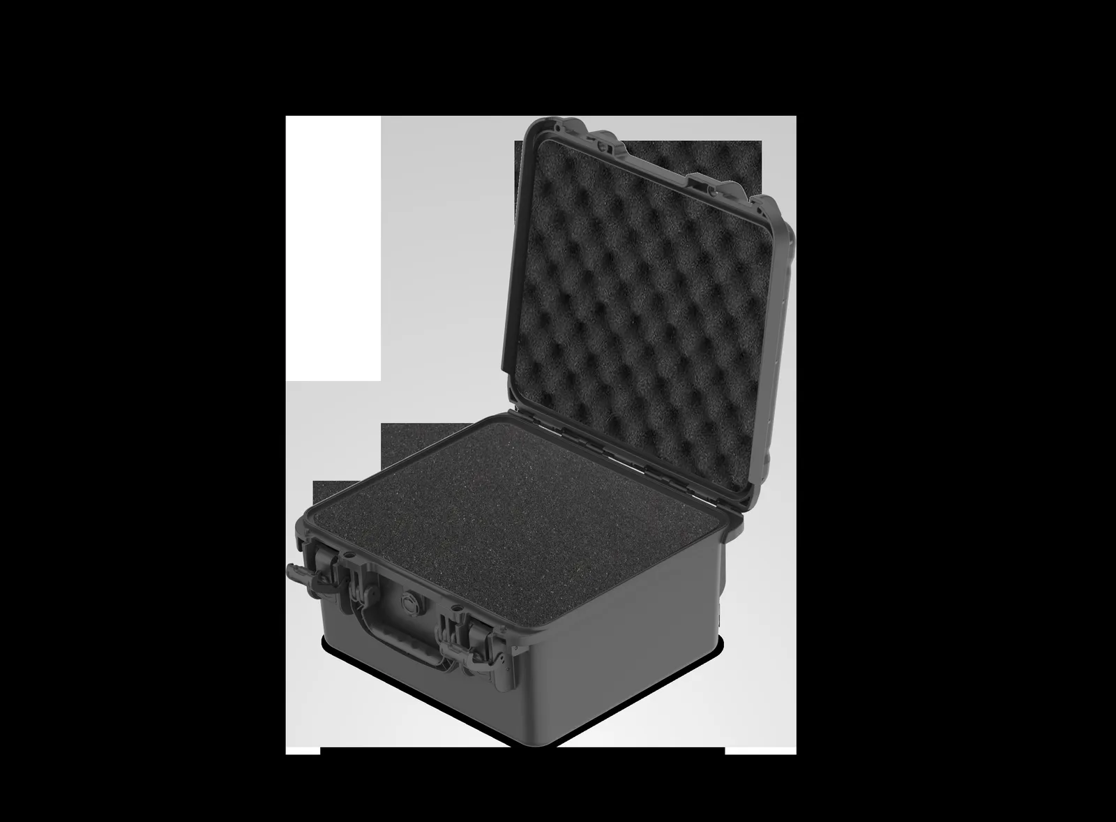 WL8-3821 PP Watch Case