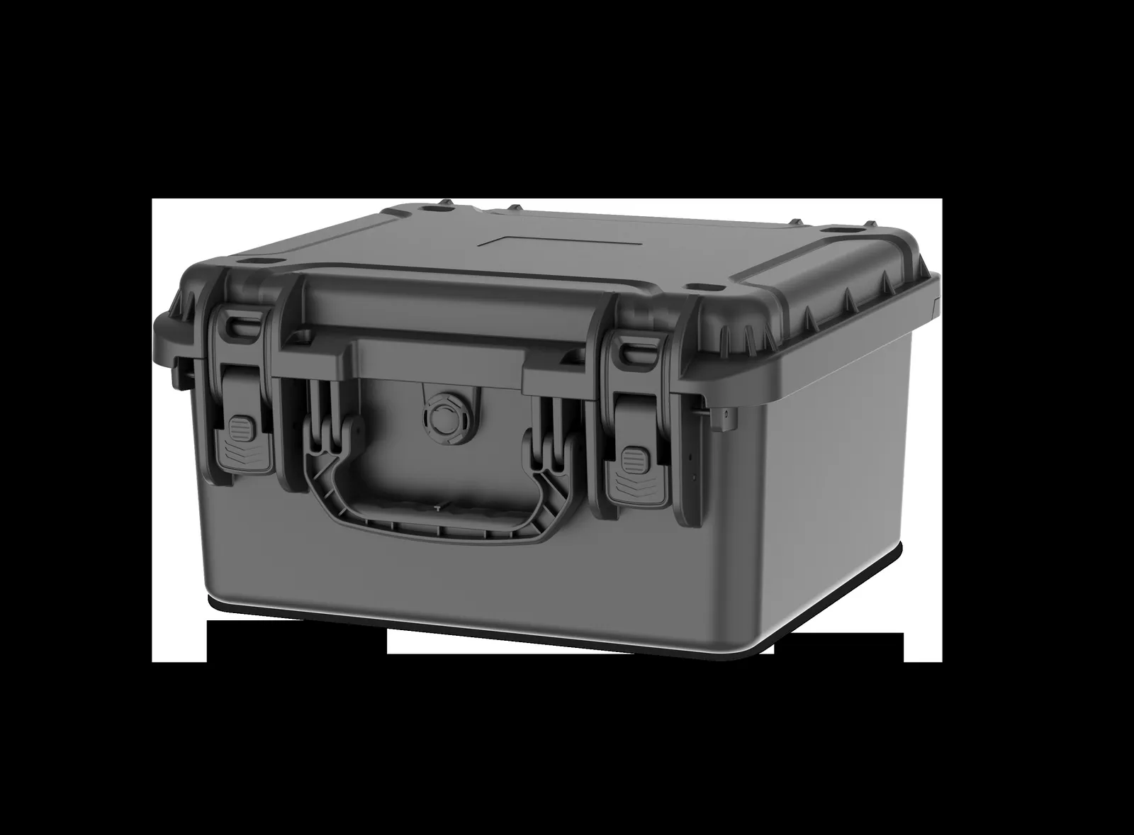 WL8-3821 PP Watch Case