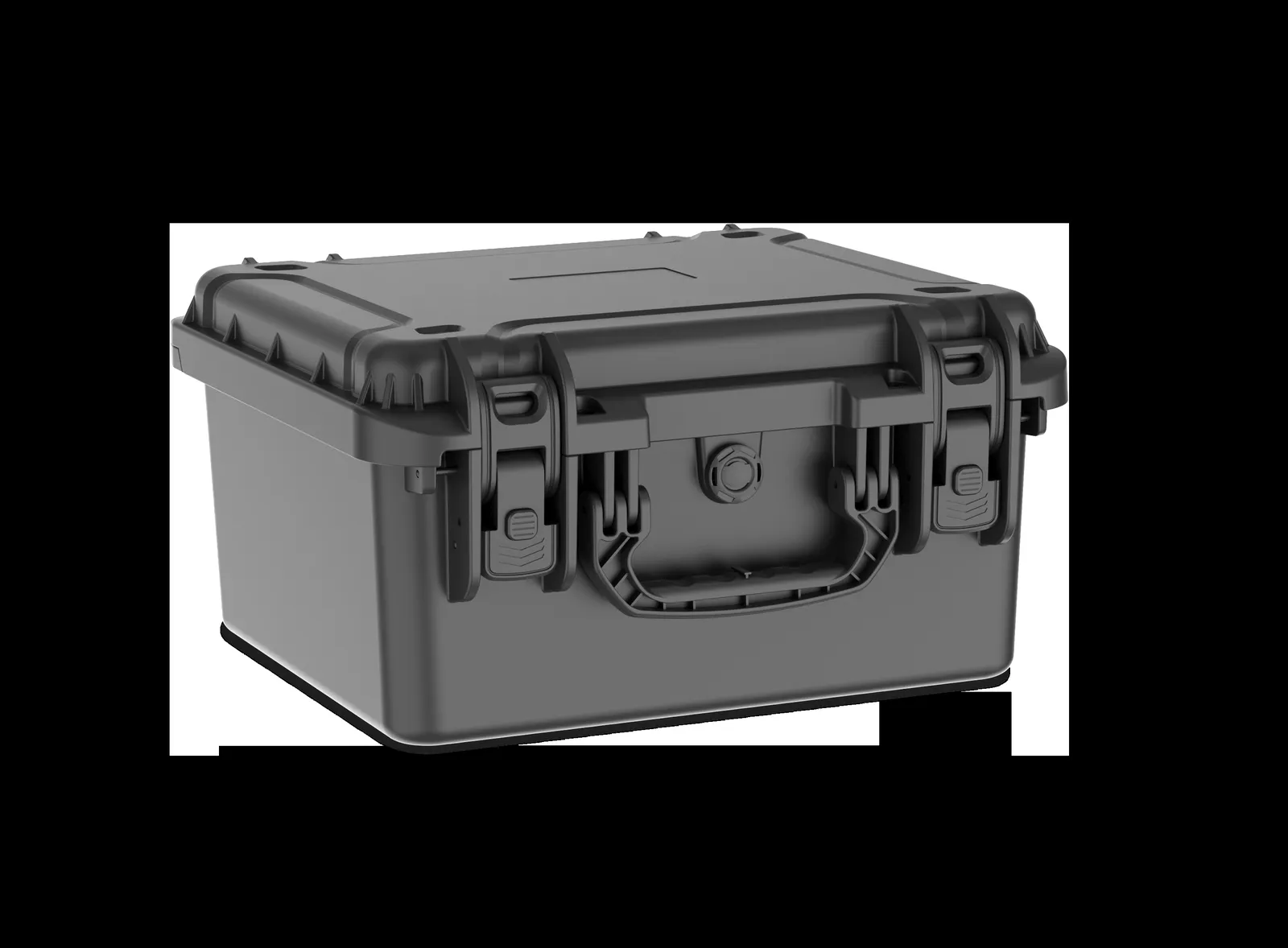 WL8-3821 PP Watch Case