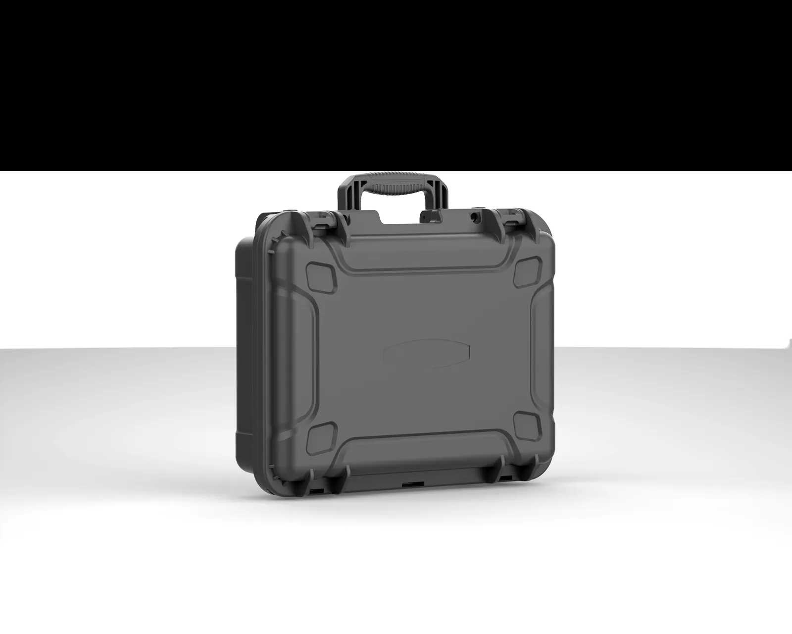 WL8-4113 PP Gun Case
