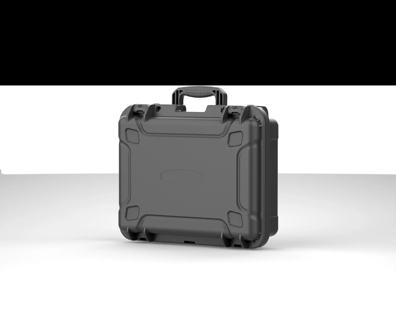 WL8-4113 PP Gun Case