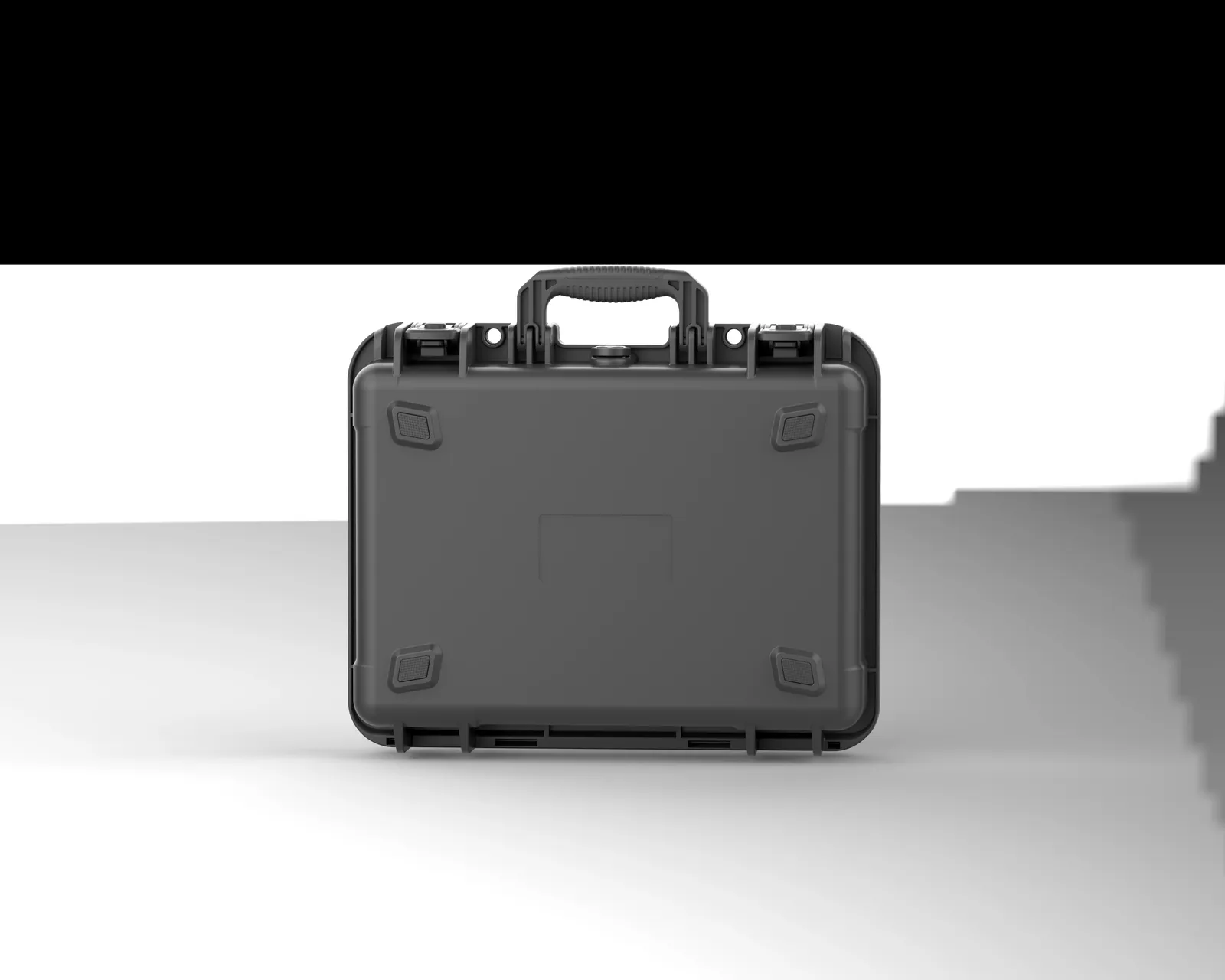 WL8-4113 PP Gun Case