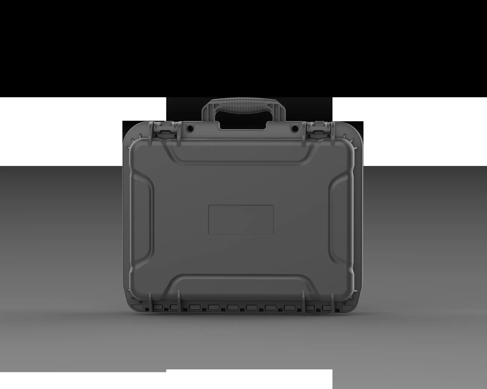 WL8-4118 PP Gun Case