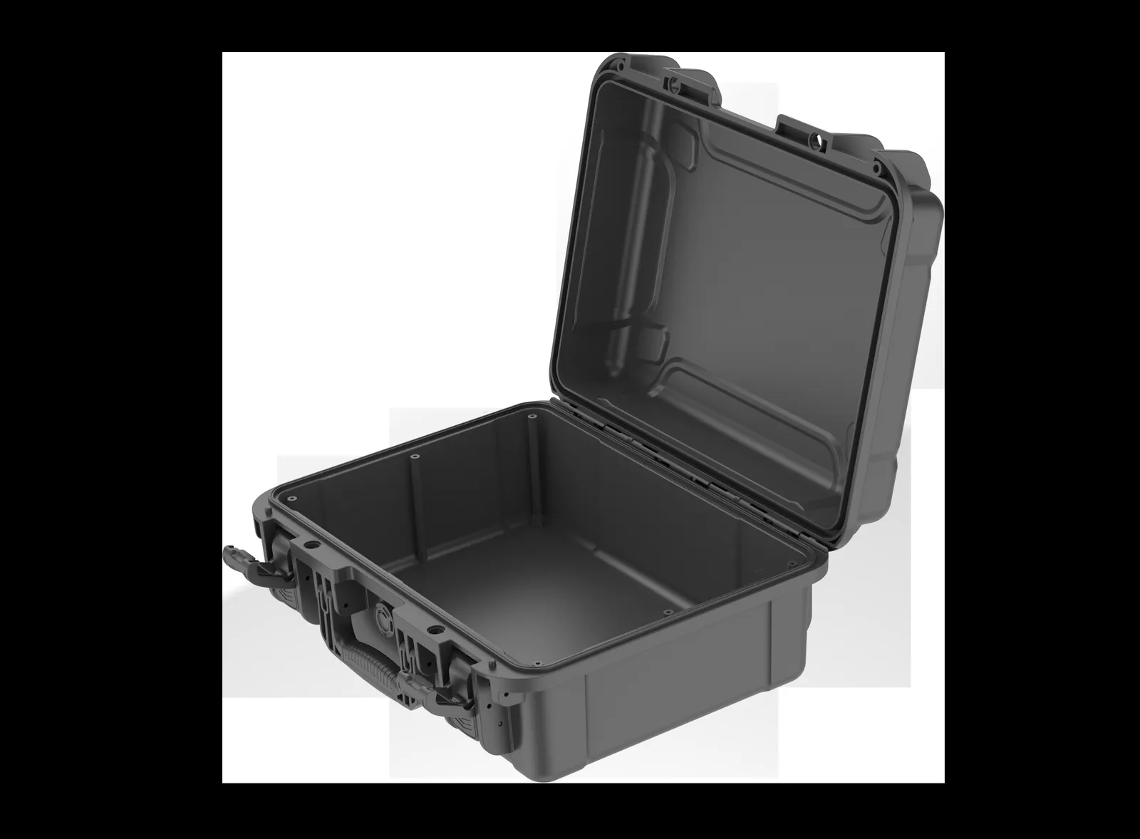 WL8-4119 PP Gun Case