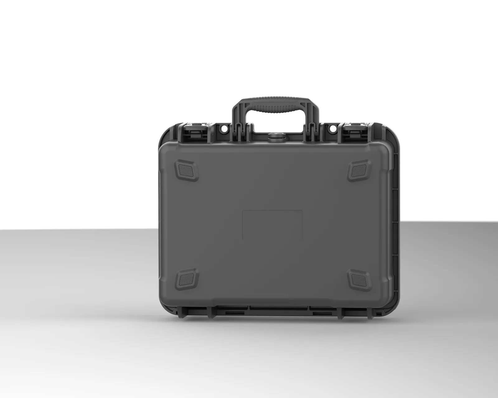 WL8-4119 PP Gun Case