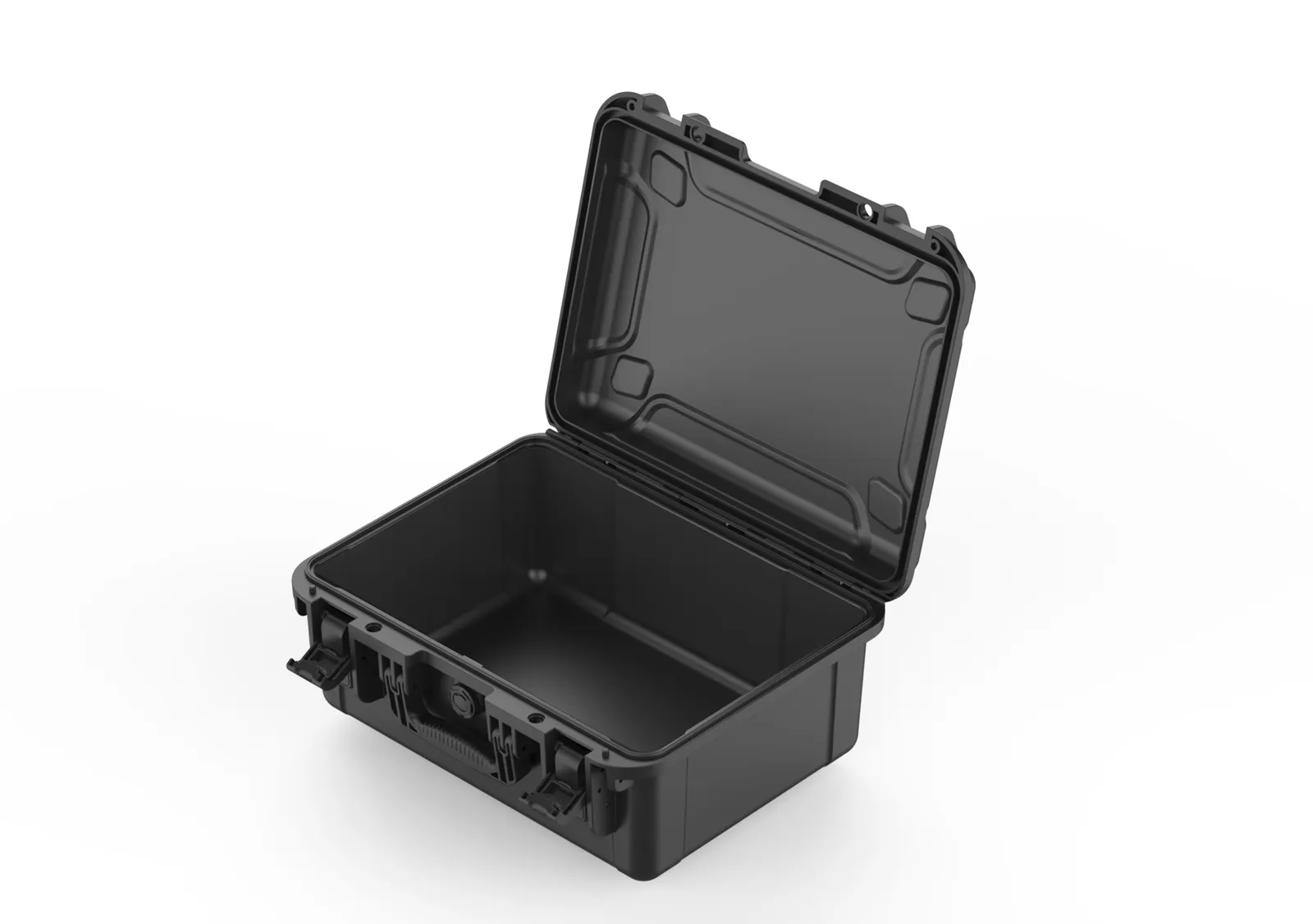 WL8-4119 PP Gun Case