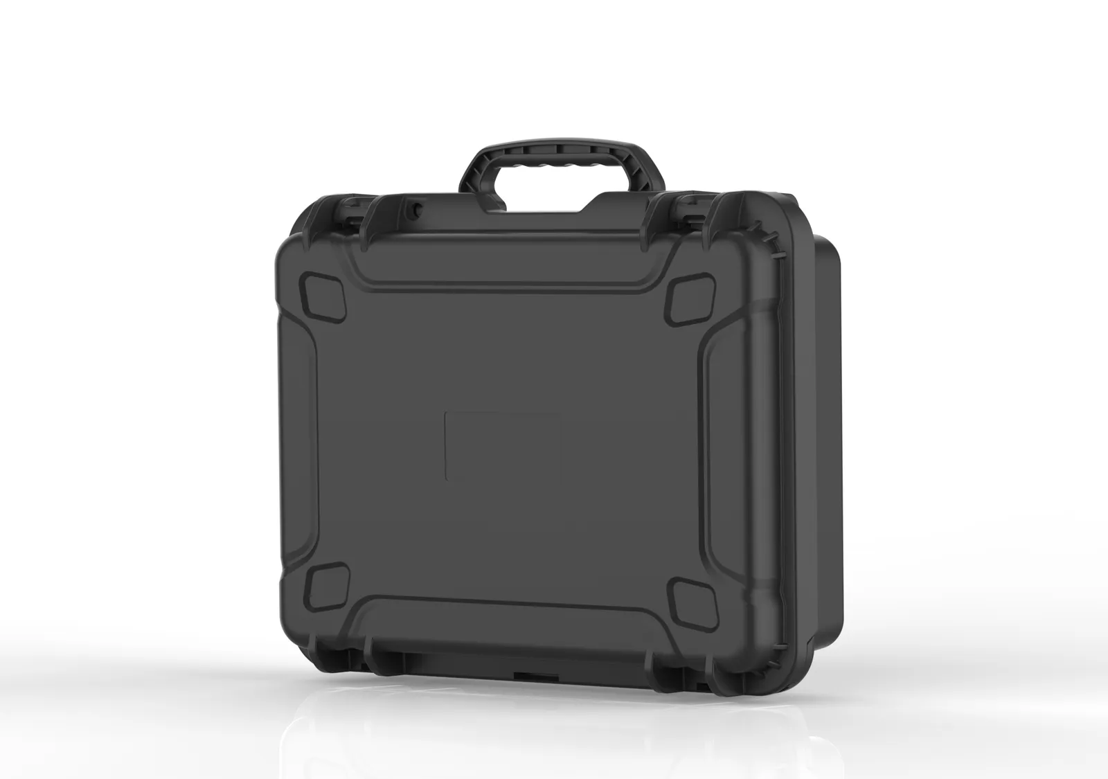 WL8-4416 PP Gun Case