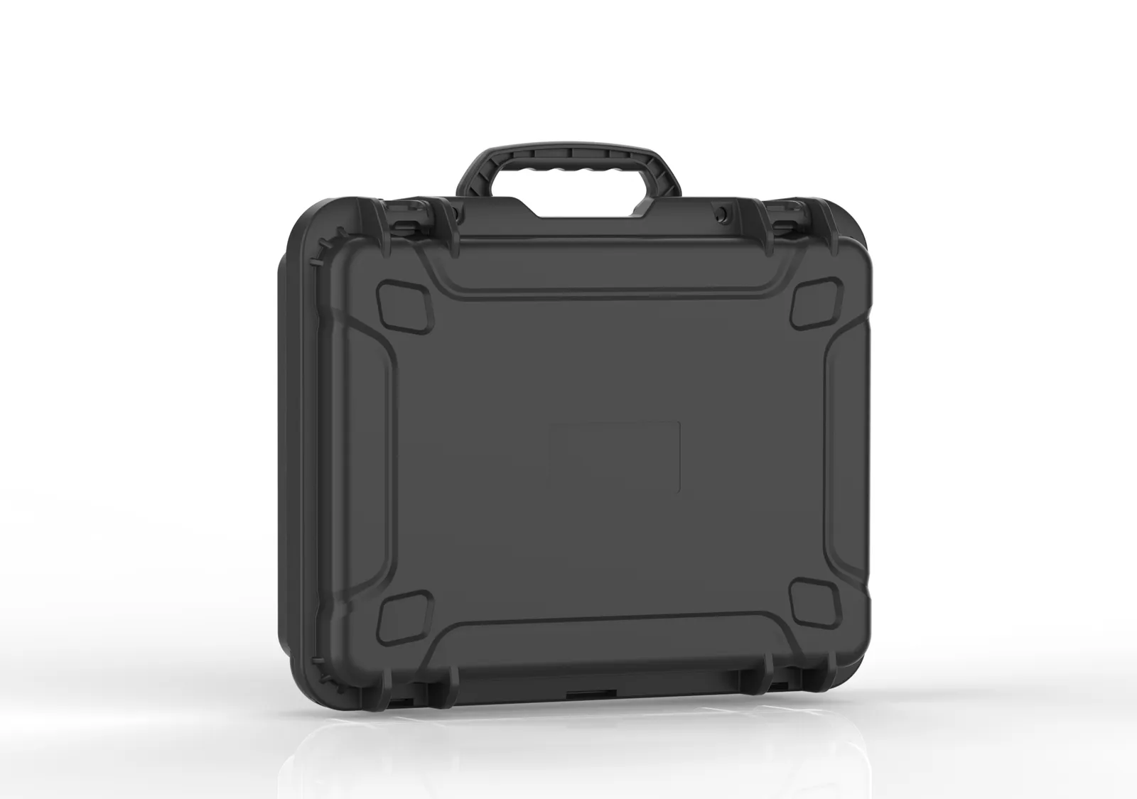 WL8-4416 PP Gun Case
