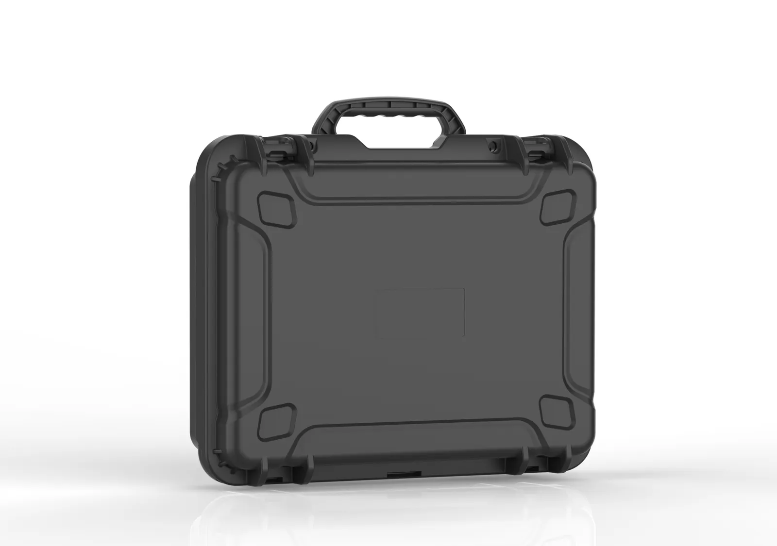 WL8-4416 PP Gun Case