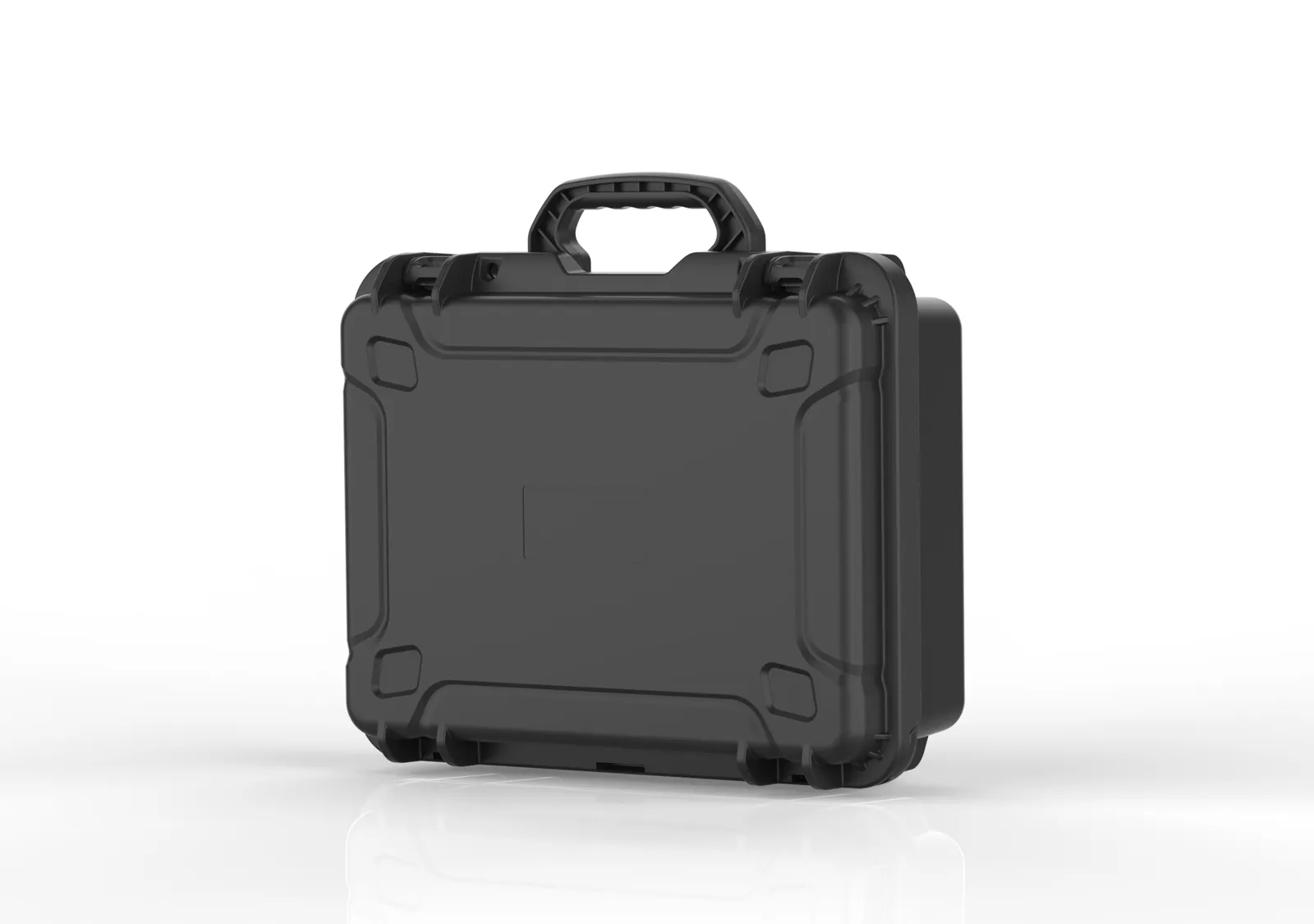 WL8-4419 Gun Case