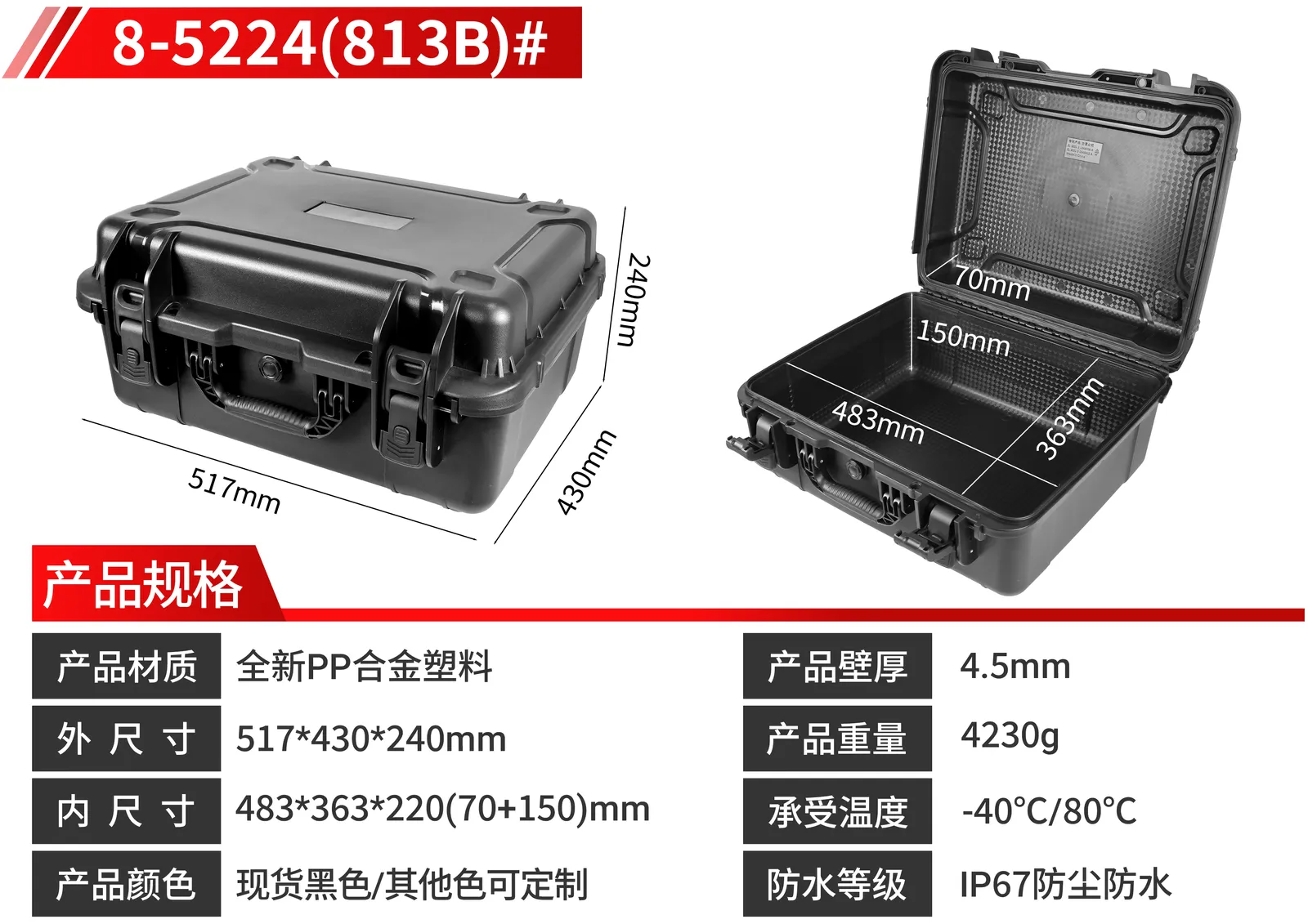 WL8-5224 Engineering PP Gun Case